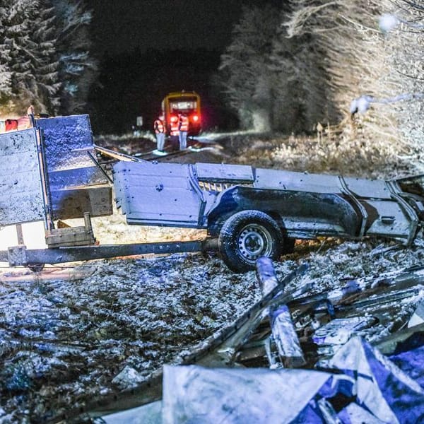 Einsatzkräfte der Feuerwehr an einem Bahnübergang zwischen zwei Nagoldern Ortsteilen: Ein Zug kollidierte mit einem mit Rindern beladenen Pkw-Anhänger.