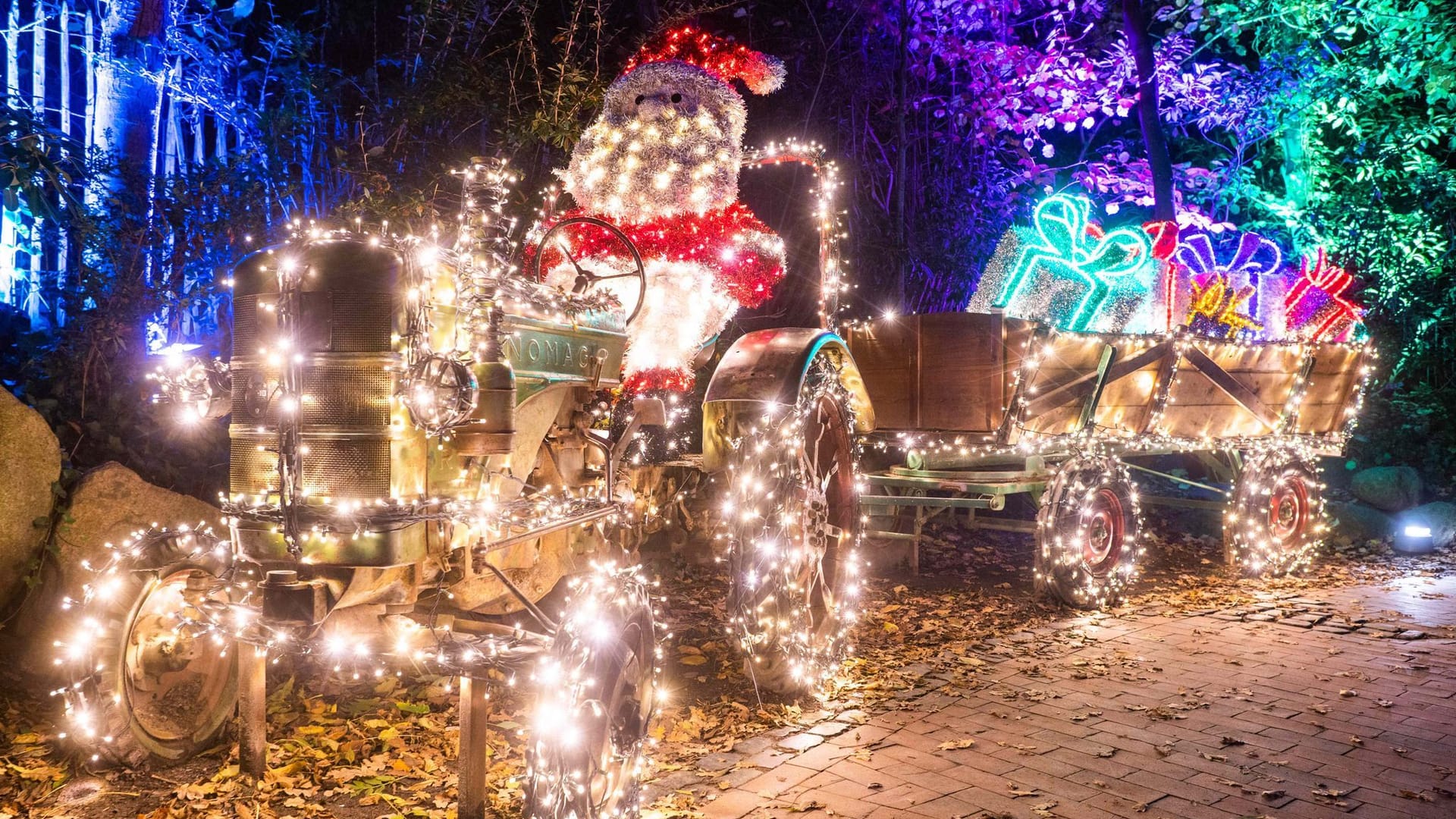 Eröffnung "Christmas Garden" im Erlebnis-Zoo Hannover