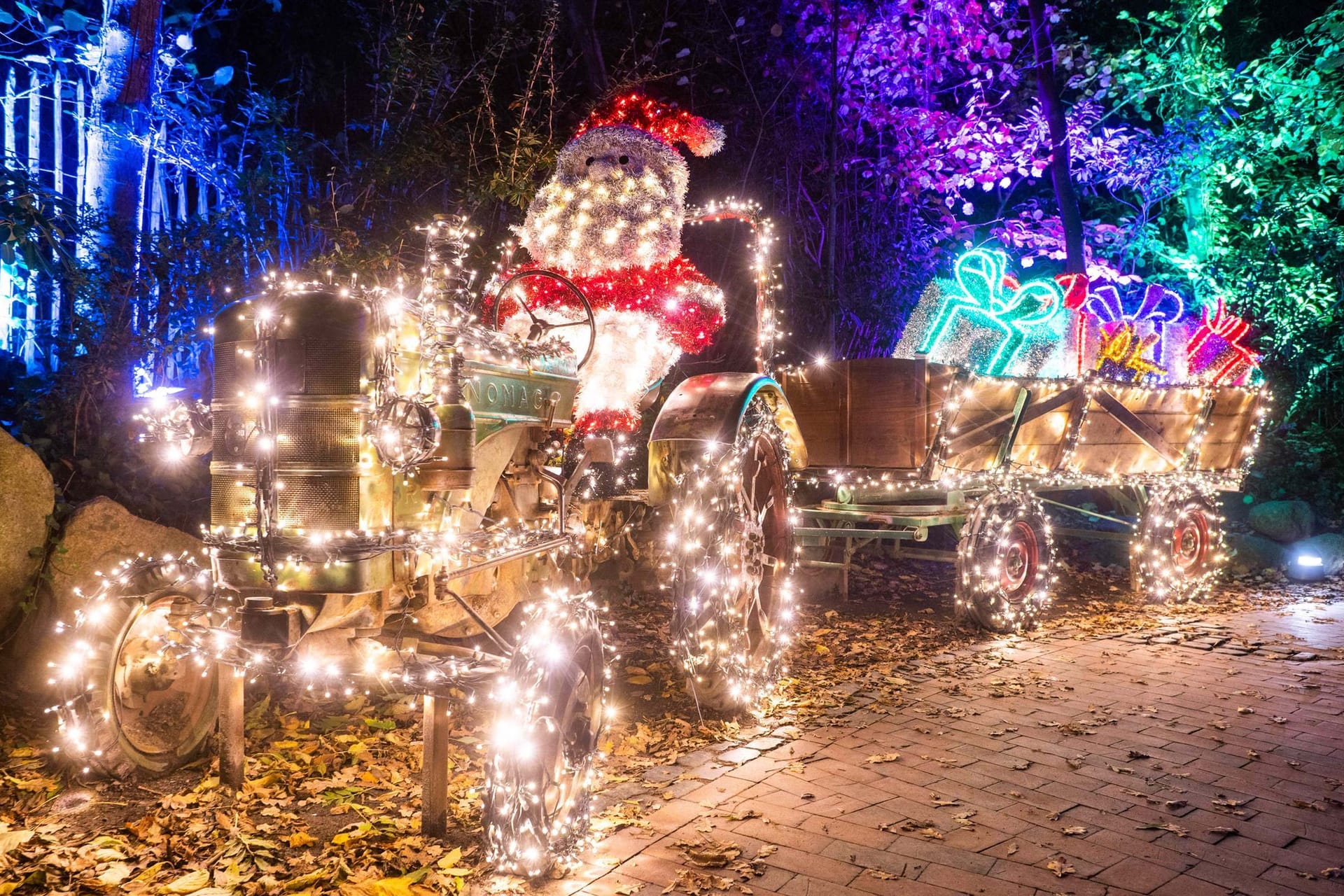 Eröffnung "Christmas Garden" im Erlebnis-Zoo Hannover