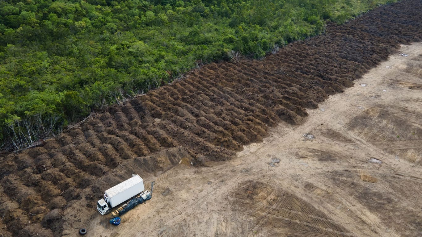 Abholzung im Amazonasgebiet