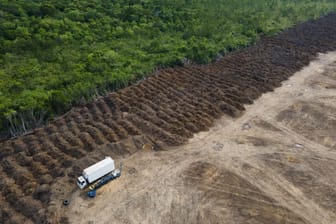 Abholzung im Amazonasgebiet