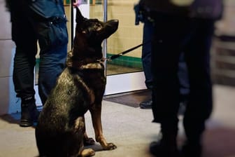 Beschreibung durch Berliner Polizei: "Sie sollen Missbrauchsabbildungen von Kindern und Jugendlichen besitzen und teilweise auch verbreitet haben.Seit 6 Uhr heute Morgen durchsuchen unsere Kolleginnen und Kollegen vom #LKA 13 die Wohnungen mehrerer Beschuldigter in #Berlin nach Beweismitteln.Mit dabei sind auch unsere Datenträgerspürhündinnen Bella & Nara."