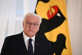 Nach dem Bruch der Ampel-Koalition - Steinmeier