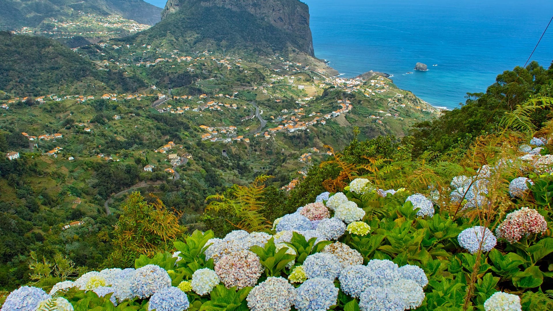 Wilde Westküste: Madeira wird auch die "Blumeninsel" genannt. Die größte Blütenpracht entfaltet sich im Frühling und im Herbst.