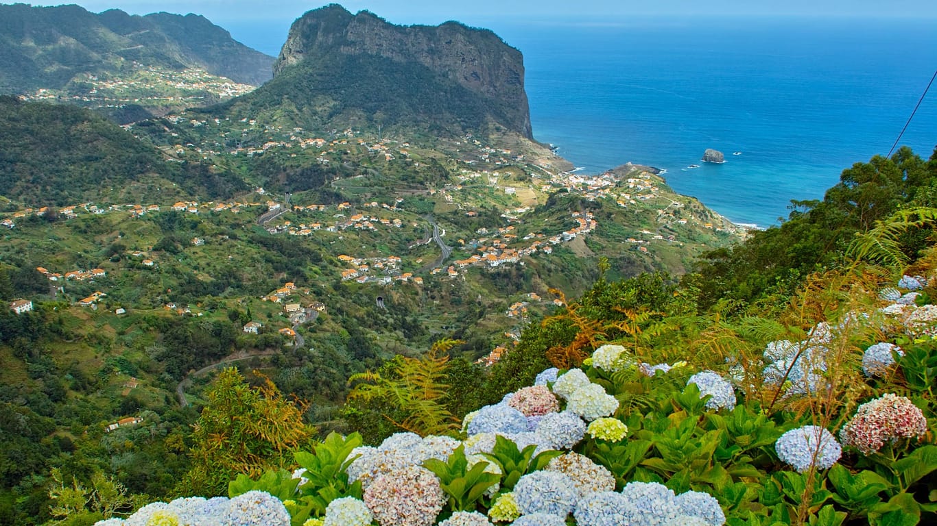 Wilde Westküste: Madeira wird auch die "Blumeninsel" genannt. Die größte Blütenpracht entfaltet sich im Frühling und im Herbst.