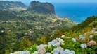 Wilde Westküste: Madeira wird auch die "Blumeninsel" genannt. Die größte Blütenpracht entfaltet sich im Frühling und im Herbst.