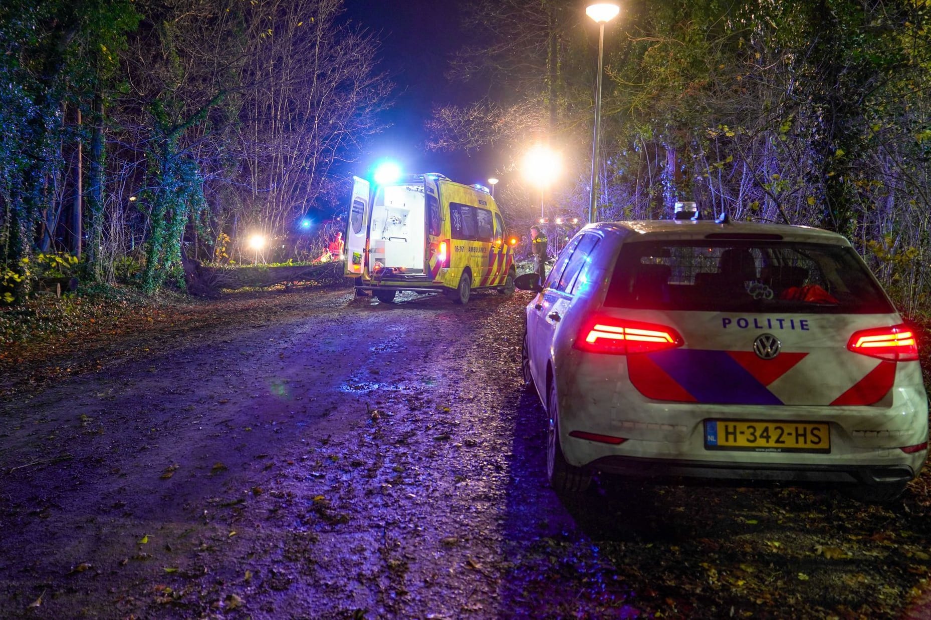 Unwetter in den Niederlanden: Ein umstürzender Baum tötete eine Radfahrerin.