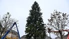 Weihnachtsbaum wird in einer Stadt aufgebaut (Symbolbild): In Delmenhorst hat es zwei Anläufe gebraucht.