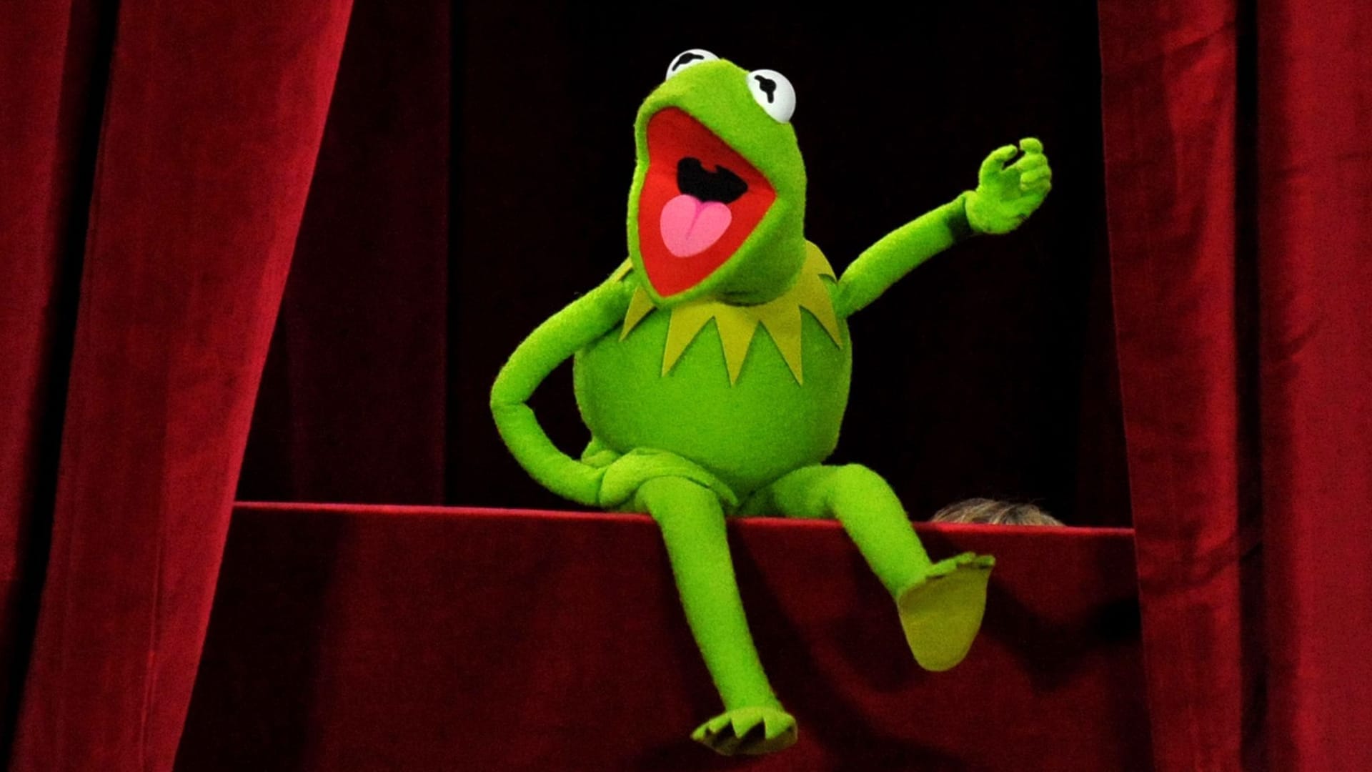 Kermit der Frosch