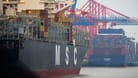 Zwei Containerschiffe liegen im Hamburger Hafen: Die Stadt und die Reederei MSC vollziehen den HHLA-Deal.