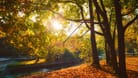 Sonnenschein im Englischen Garten (Archivbild): Ab dem Mittag dürfte die Wolkendecke ein wenig aufbrechen.