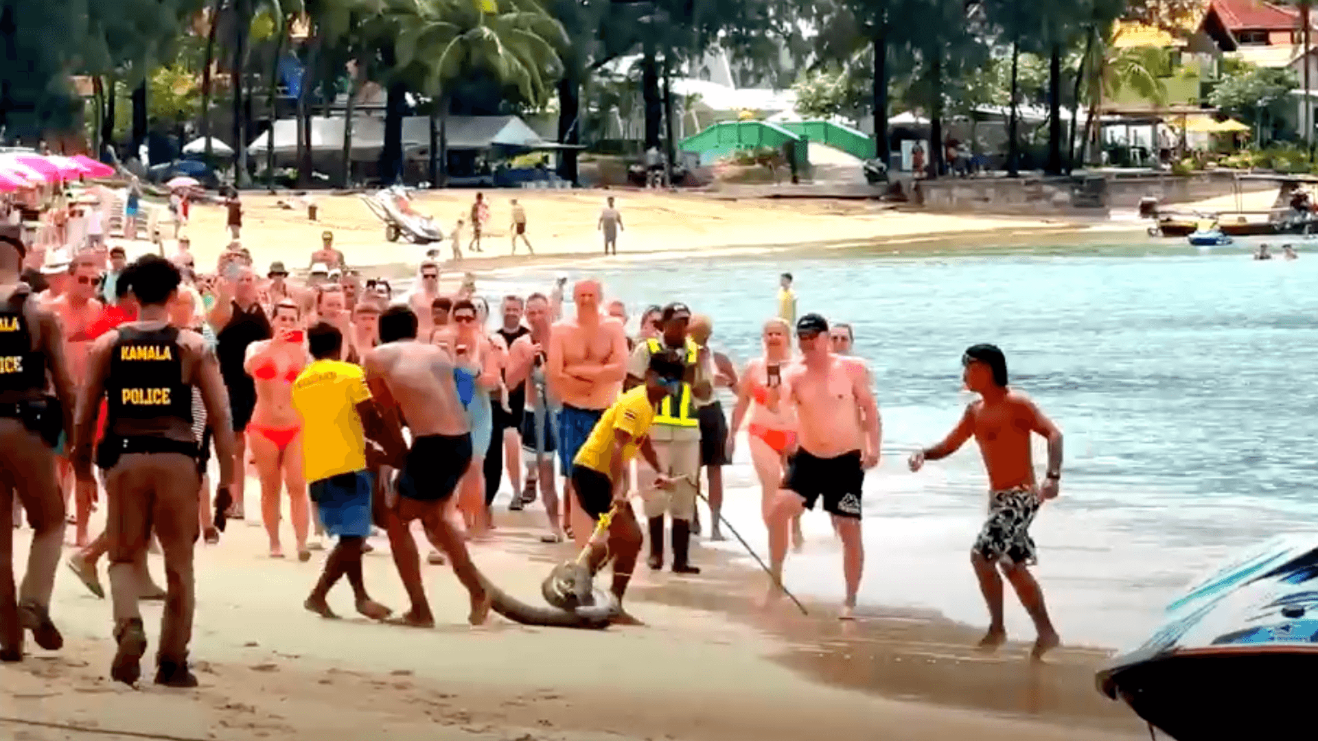 Eine riesige Phyton vertrieb Urlauber aus dem Wasser.