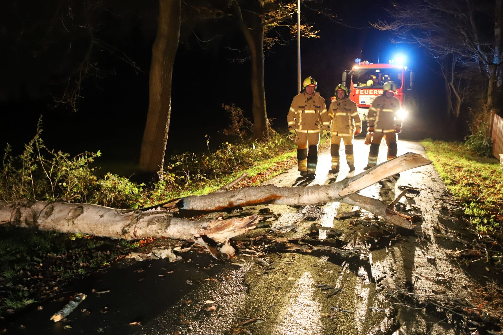 Bremer Feuerwehrleute am Abend bei der Beseitigung eines umgestürzten Baums.