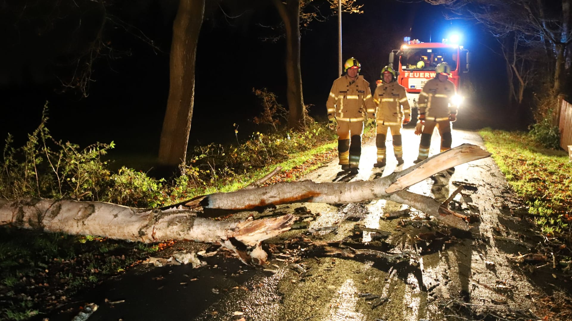 Bremer Feuerwehrleute am Abend bei der Beseitigung eines umgestürzten Baums.