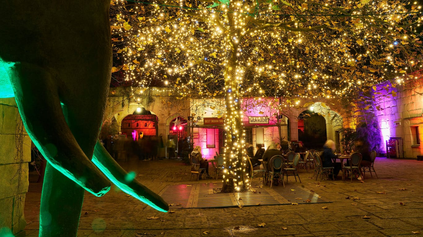 Lichtkunst im Zoo: Auf dem Ticket befindet sich die Einlasszeit, an die sich die Besucher halten sollten.