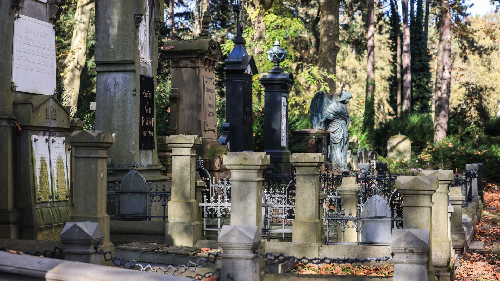 Melaten-Friedhof in Köln