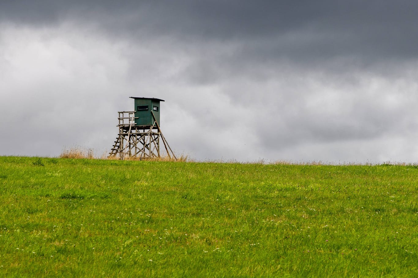 Dunkle Wolken über einem Feld. (Symbolfoto)