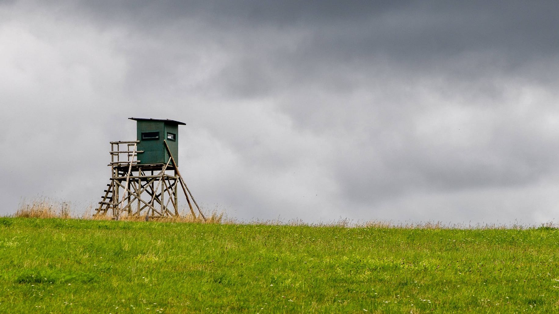 Dunkle Wolken über einem Feld. (Symbolfoto)