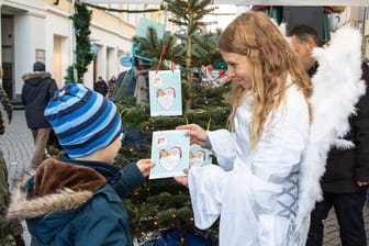 Der AAI-Wunschbaum: Am 30. November steht er in der Braunschweiger Innenstadt.