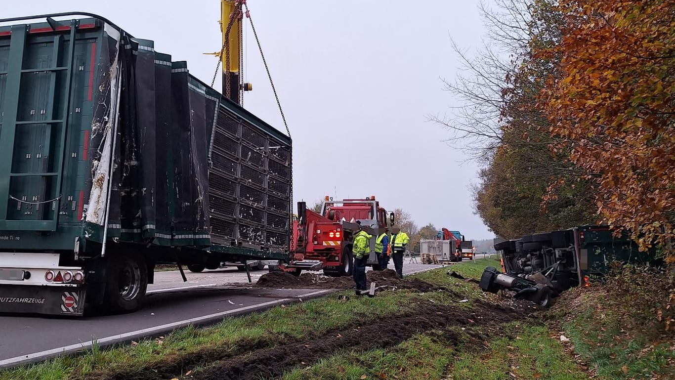 Chaos auf der A29: Lkw mit Puten verunfallt