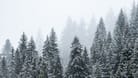 Erster Schnee auf dem Feldberg