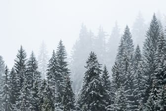 Erster Schnee auf dem Feldberg