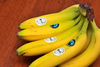 Bananen mit Biosiegel (Symbolbild): Alle Räume, in denen sich die Ministerin aufhält, müssen frei von den gelben Früchten sein.