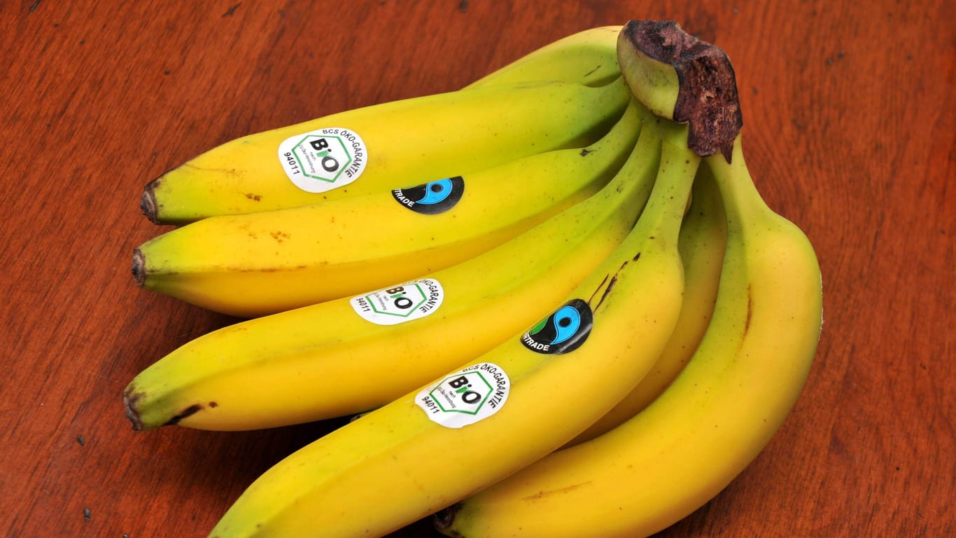 Bananen mit Biosiegel (Symbolbild): Alle Räume, in denen sich die Ministerin aufhält, müssen frei von den gelben Früchten sein.