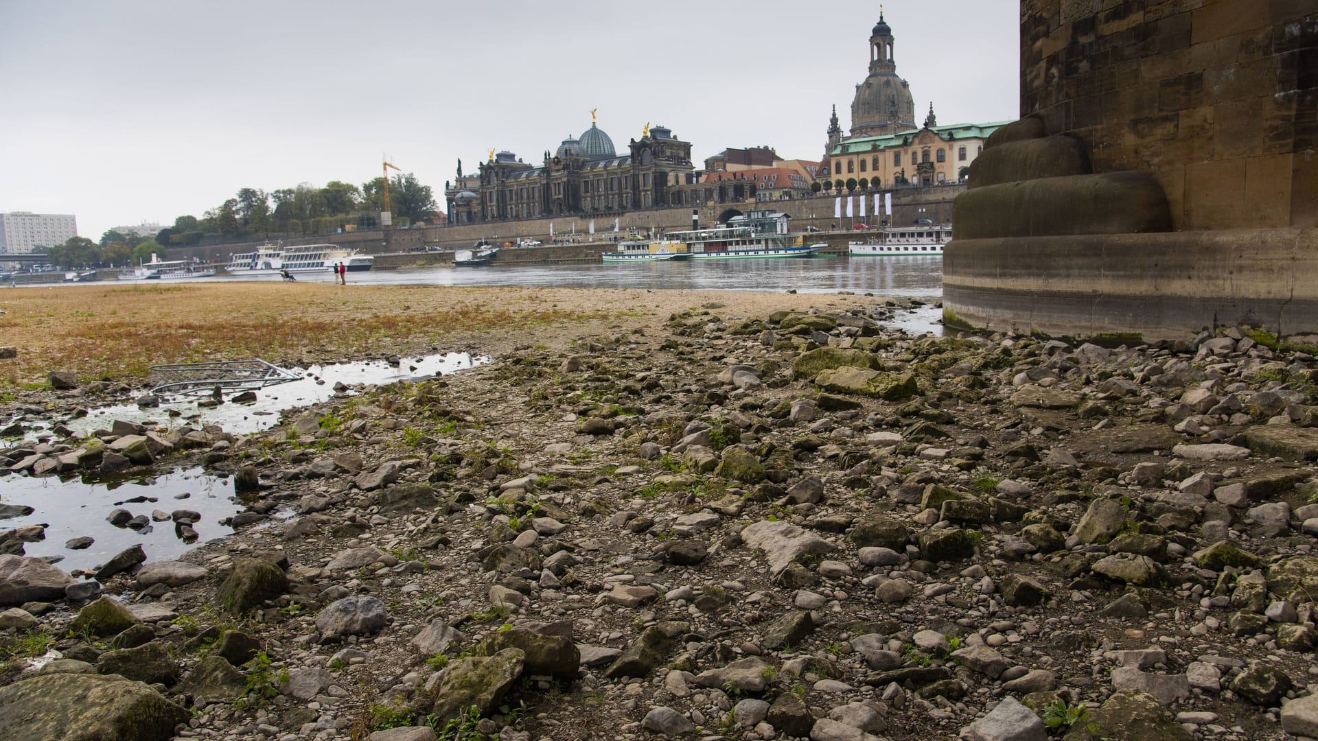 Die Hungersteine an der Augustusbrücke gegenüber der Altstadt in Dresden: Sie tauchen nur bei extremen Niedrigwasser auf.