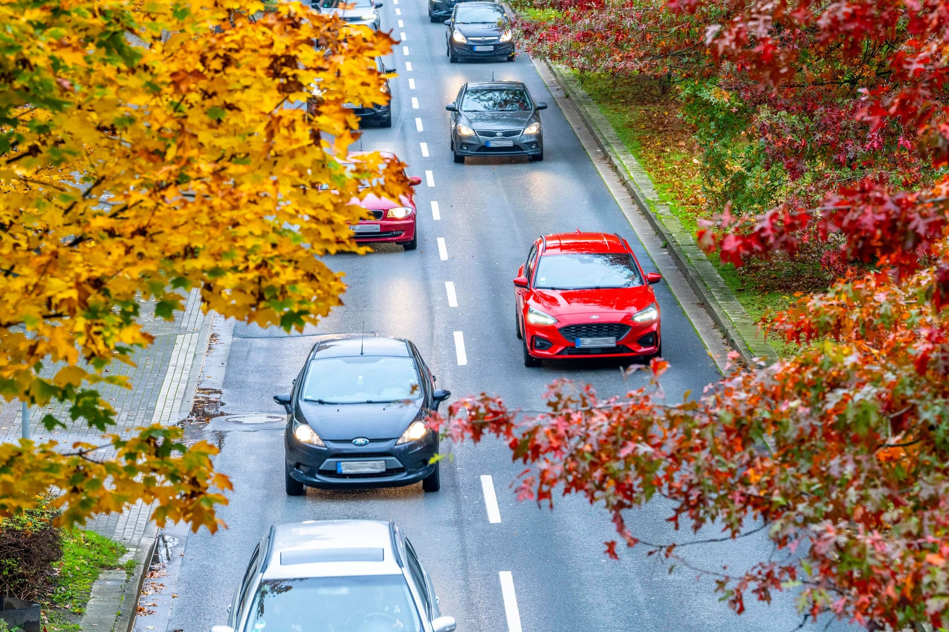 Schäden und unnötige Kosten vermeiden: Empfindliche Gegenstände gehören bei Kälte nicht ins Auto.