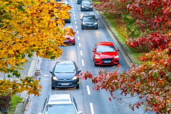 Schäden und unnötige Kosten vermeiden: Empfindliche Gegenstände gehören bei Kälte nicht ins Auto.