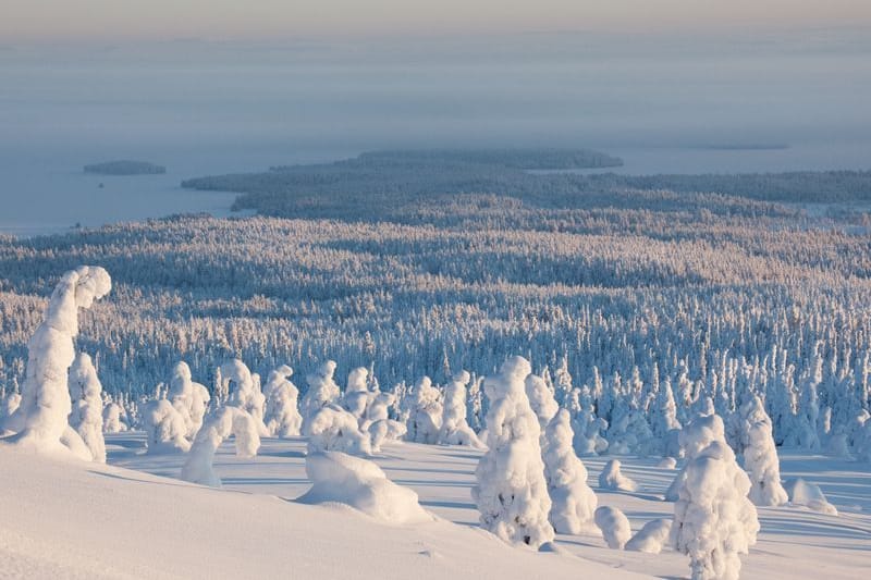 Blick vom Gipfel des Riisitunturi auf den Kitkajärvi-See: In den wenigen hellen Stunden entfaltet sich ein unvergleichliches Winterpanorama.