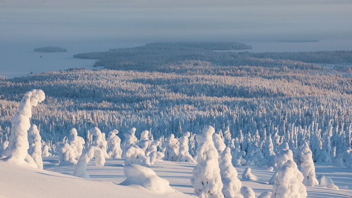 Blick vom Gipfel des Riisitunturi auf den Kitkajärvi-See: In den wenigen hellen Stunden entfaltet sich ein unvergleichliches Winterpanorama.