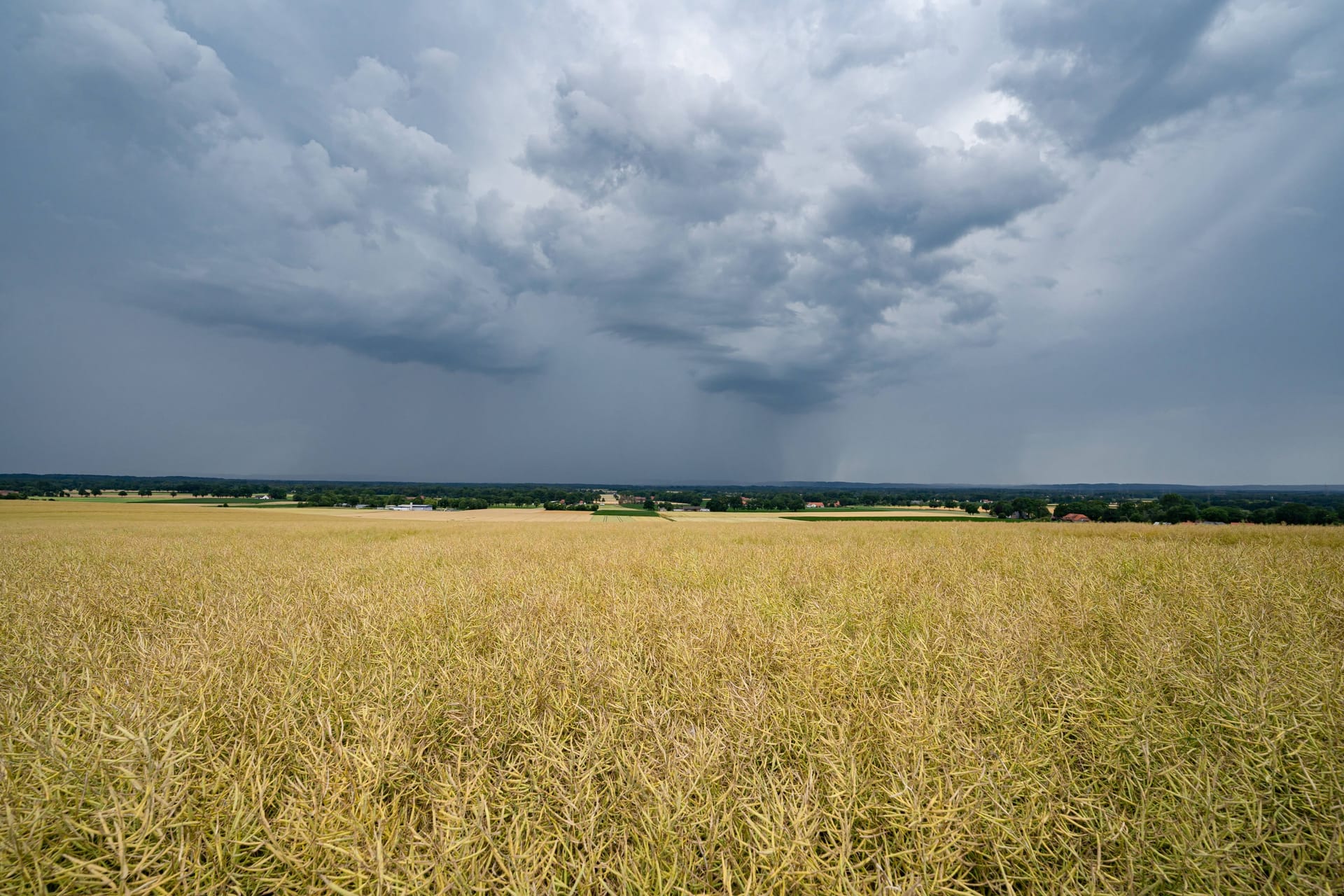 Sturmwolken über einem Feld in Niedersachsen. (Symbolfoto)