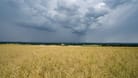 Sturmwolken über einem Feld in Niedersachsen. (Symbolfoto)