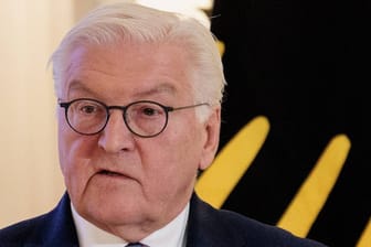 Frank-Walter Steinmeier: Ihm fällt bei Neuwahlen eine besondere Rolle zu.