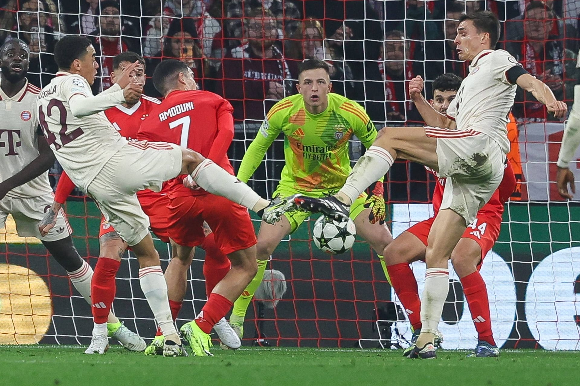 Strafraumgetümmel: Bayerns Musiala (li.) und Palhinha gehen gleichzeitig zum Ball.