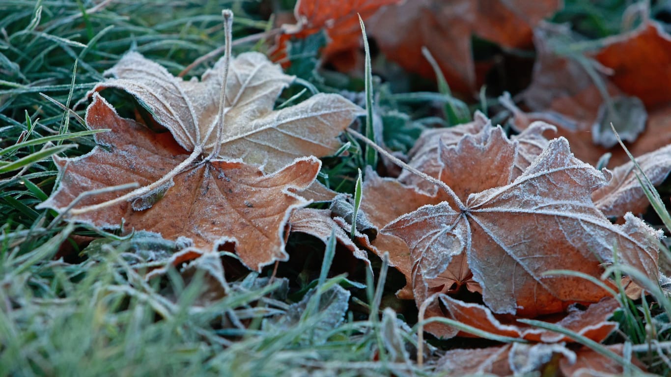 Frost - Wetter in Sachsen