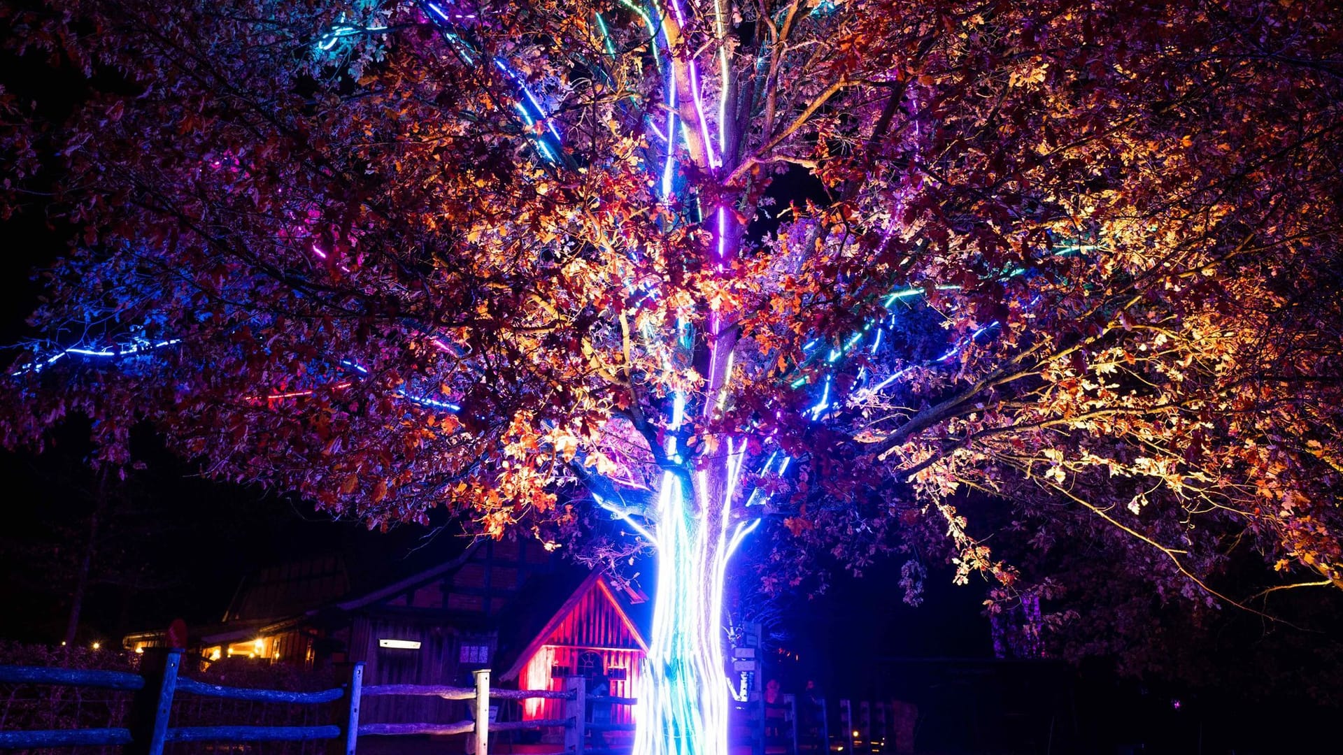 Eröffnung "Christmas Garden" im Erlebnis-Zoo Hannover