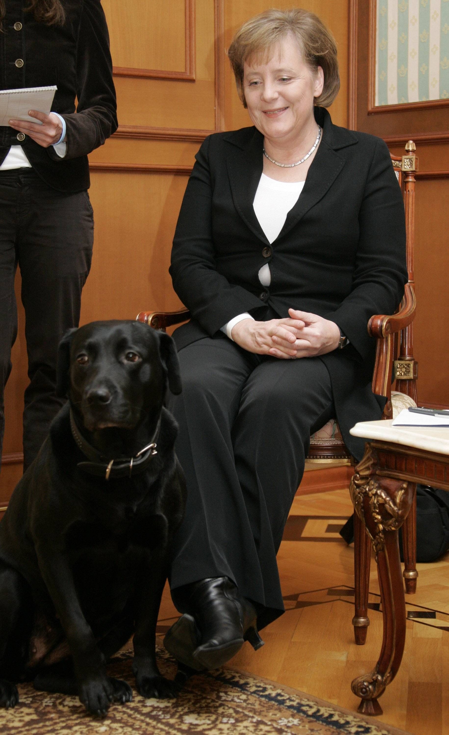 Angela Merkel mit Putins Labrador Koni.