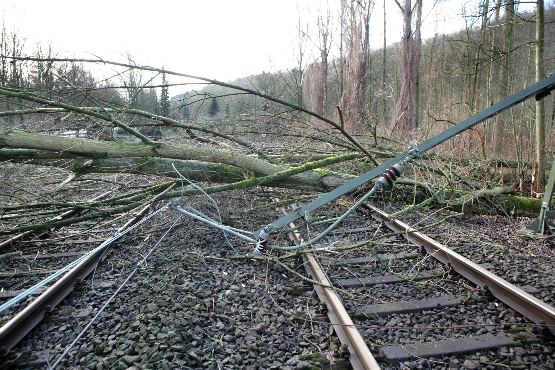 Ein Baum liegt auf den Gleisen: Die Bahn hat im Herbst und Winter immer wieder mit umgestürzten Bäumen zu kämpfen (Symbolbild).