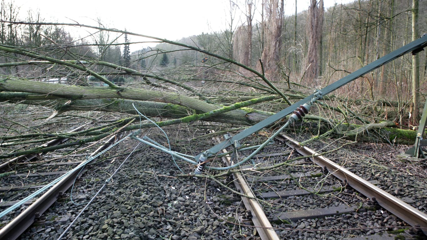 Ein Baum liegt auf den Gleisen: Die Bahn hat im Herbst und Winter immer wieder mit umgestürzten Bäumen zu kämpfen (Symbolbild).