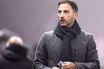 Domenico Tedesco beim Spiel in Budapest: Der Job des Deutsch-Italieners wackelt.