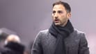 Domenico Tedesco beim Spiel in Budapest: Der Job des Deutsch-Italieners wackelt.