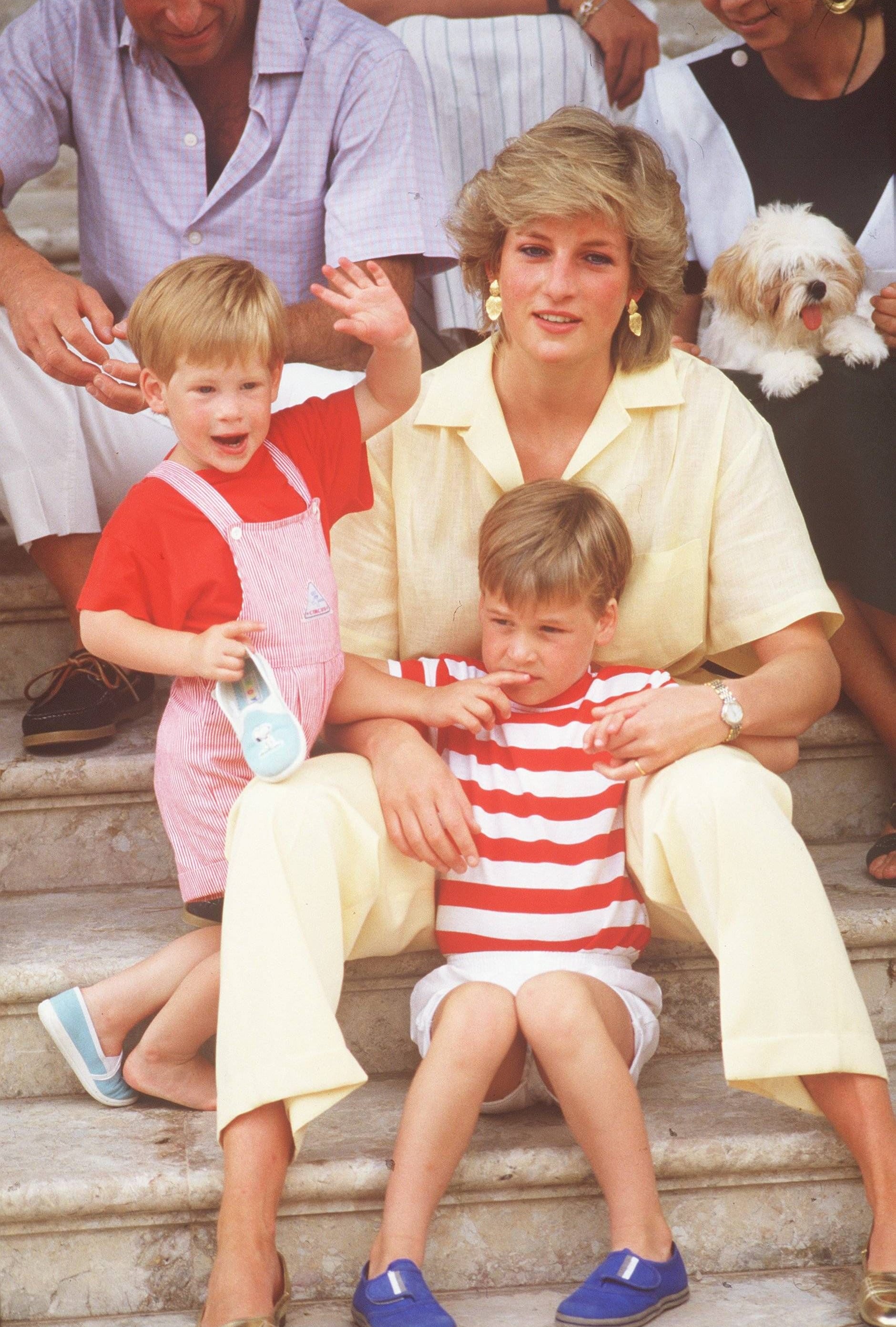 Prinzessin Diana mit ihren Söhnen Harry und William: Die Prinzen verloren ihre Mutter in jungen Jahren.