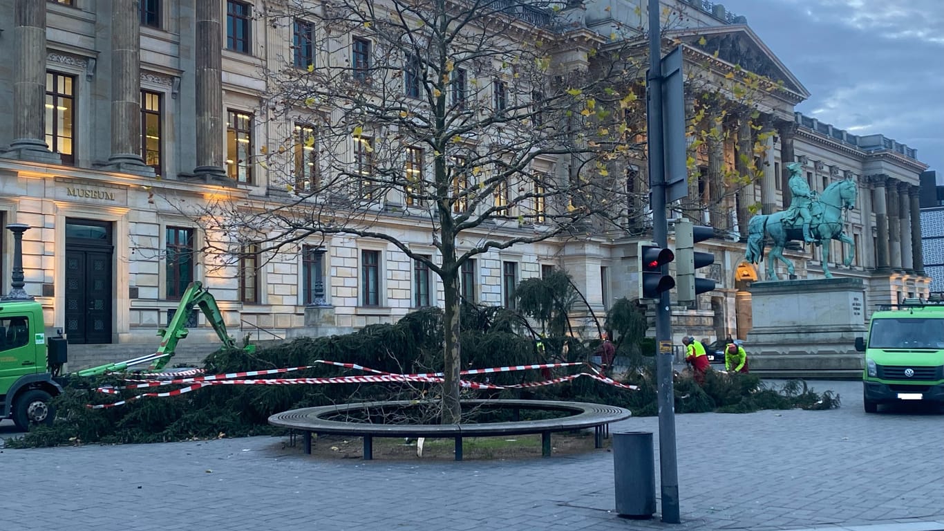 Der umgefallene Weihnachtsbaum vor dem Schloss: Aufräumarbeiten haben begonnen.