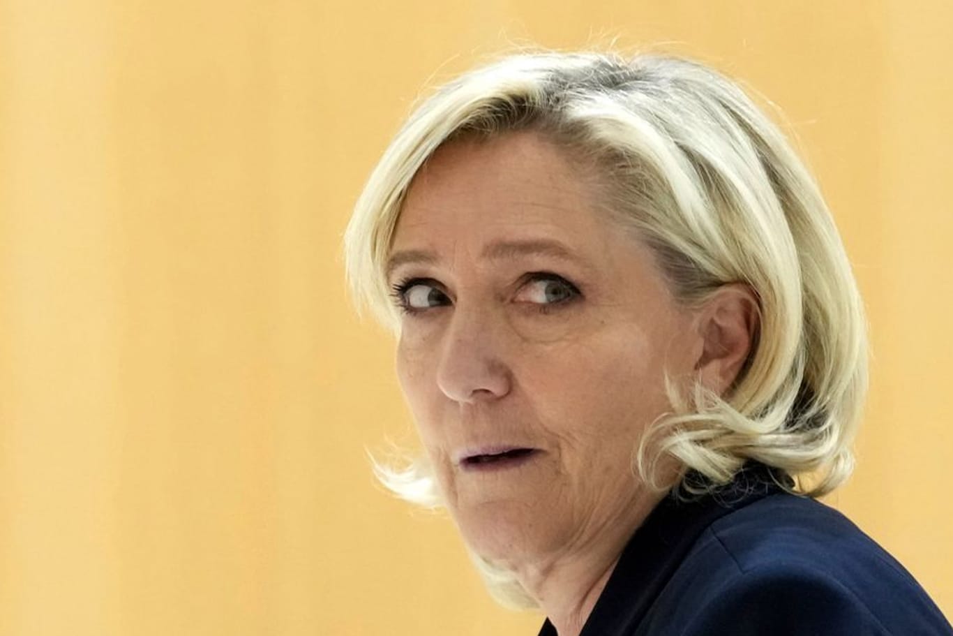 Marine Le Pen: Sie muss sich wegen Veruntreuung verantworten.