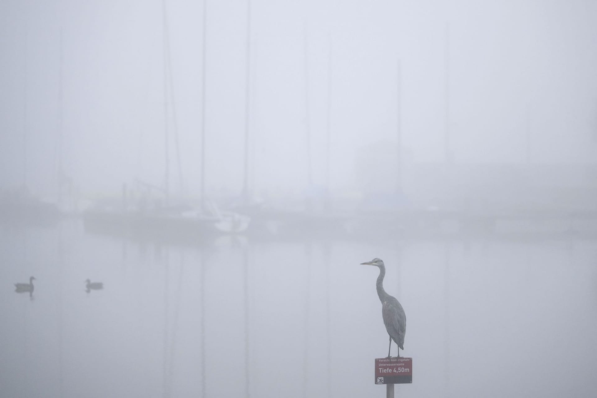 Nebel in Dortmund