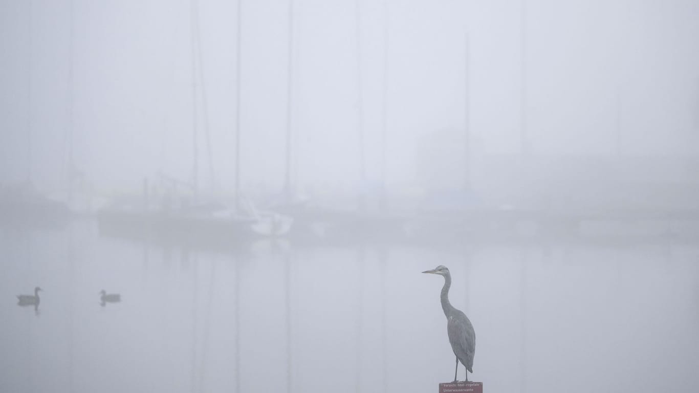 Nebel in Dortmund