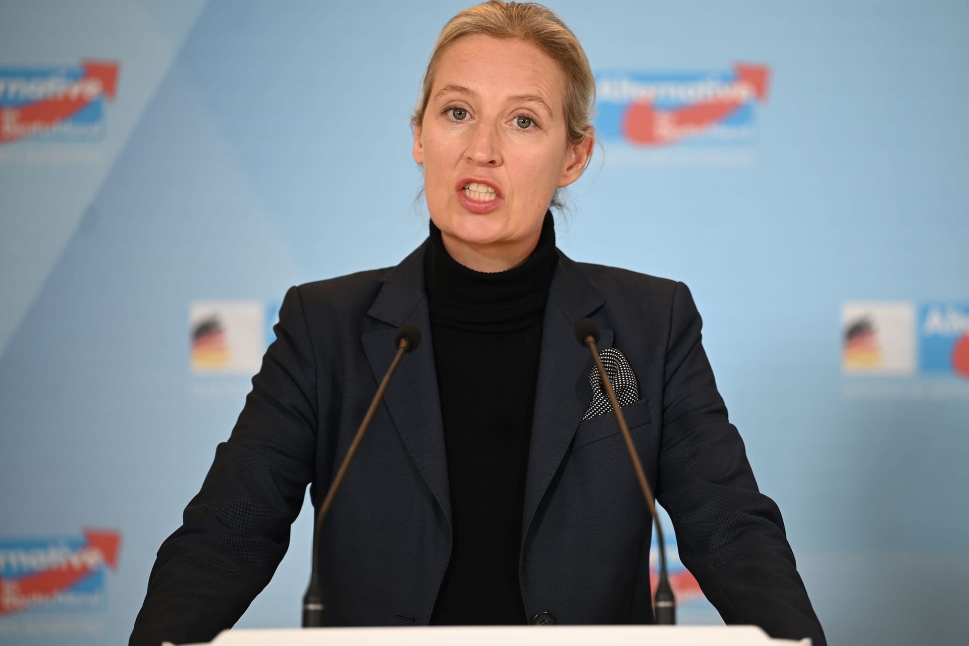 AfD-Chefin Alice Weidel (Archivbild)